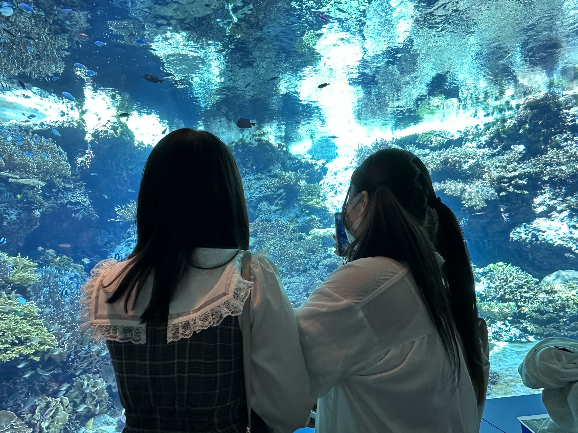 画像 -20230201-050554-b2c7be2a